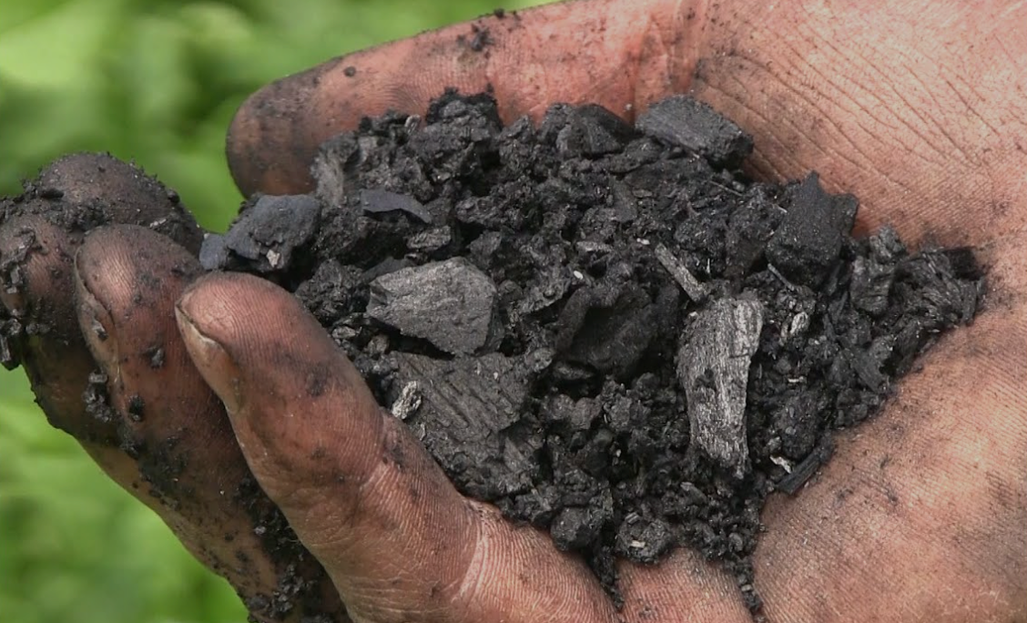 Vermicompost & Biochar Blend – Salt Spring Soil